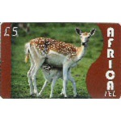 Africa Tel £5 International Calling Card