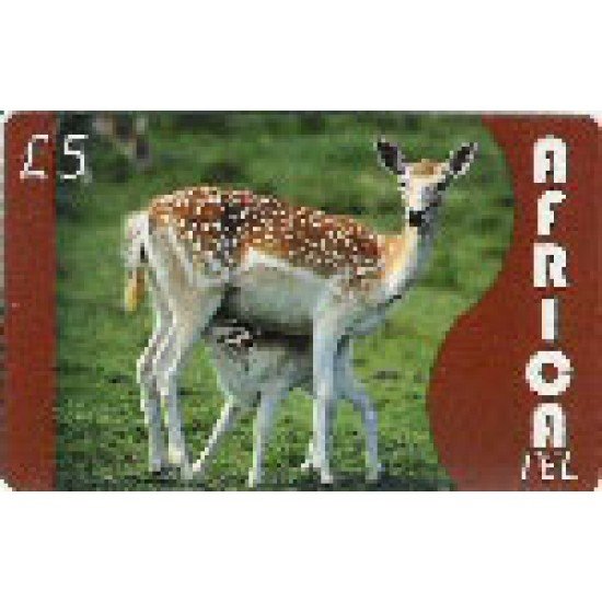 Africa Tel £5 International Calling Card