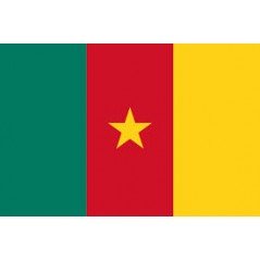 Cameroon Mobile Topup
