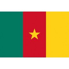 Cameroon Mobile Topup