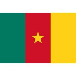 Cameroon Mobile Topup