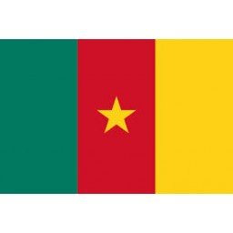 Cameroon Mobile Topup