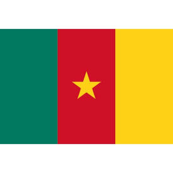 Cameroon Mobile Topup