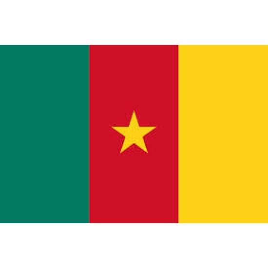 Cameroon Mobile Topup