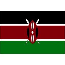 Kenya Mobile Topup
