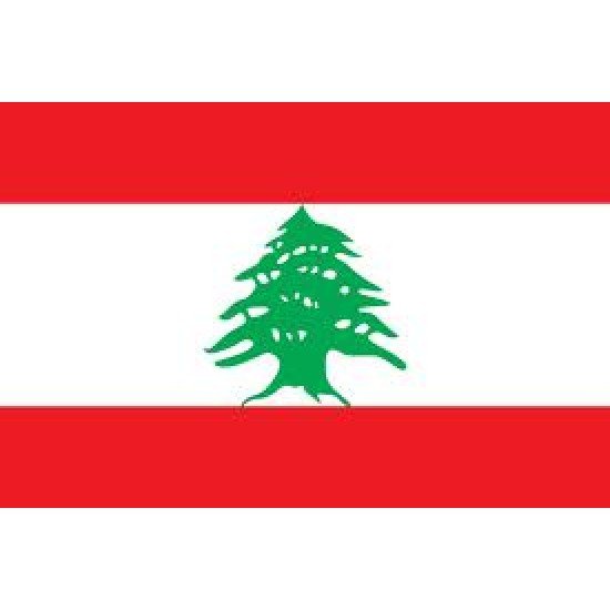 Lebanon Mobile Topup