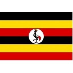Uganda Mobile Topup