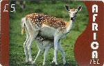 Africa Tel £5 International Calling Card