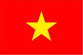 Vietnam Mobile Topup