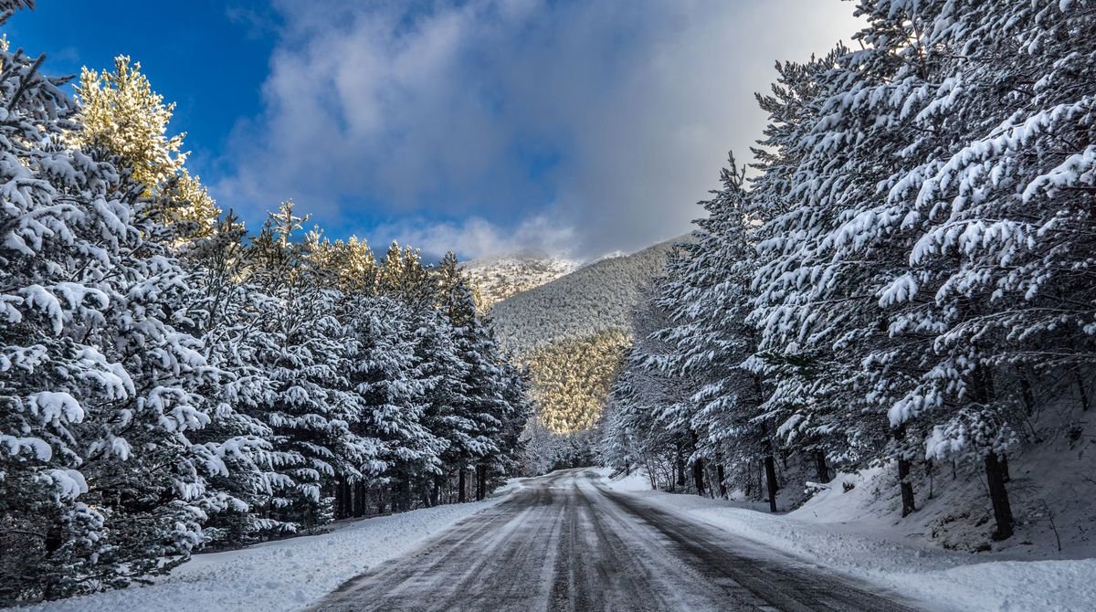 Snowy mountain road through pine forest in Andorra