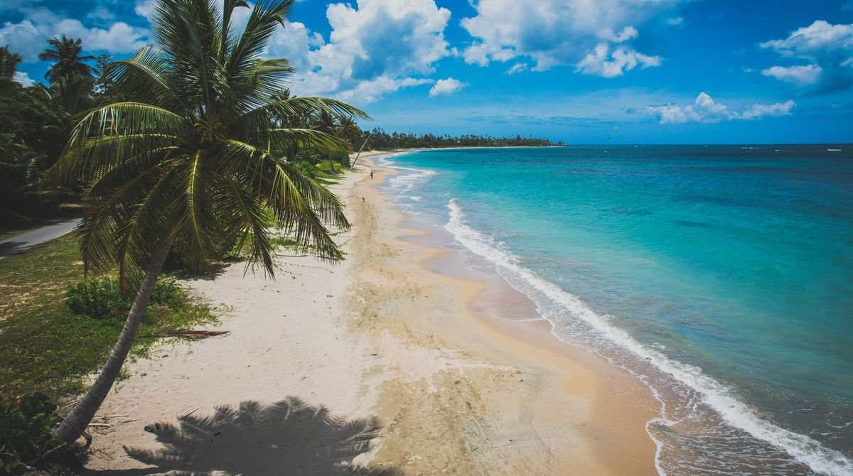 Palm trees above a white sand beach and turquoise sea in the Caribbean