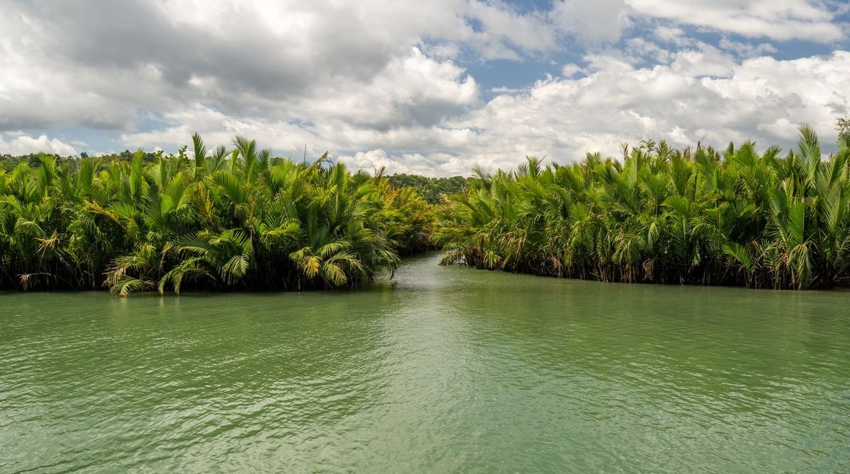 Calm river lined with green trees and palms