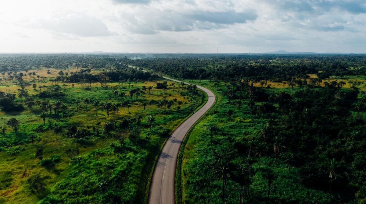 Road through green rainforest in Gabon